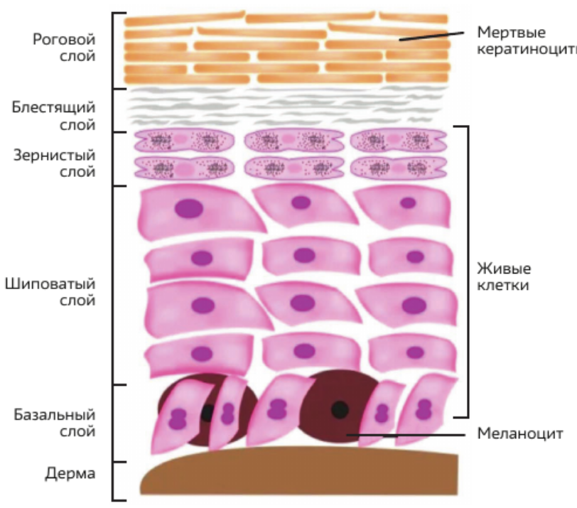 image1.png image1.png