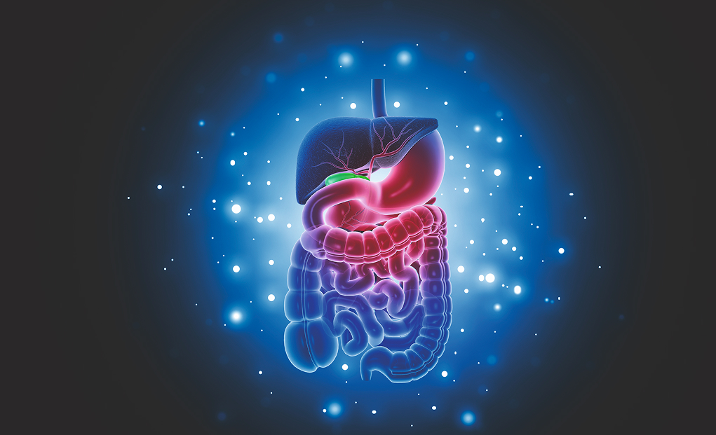 главное фото 1.jpg